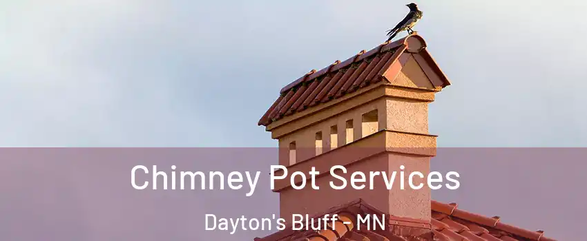 Chimney Pot Services Dayton's Bluff - MN
