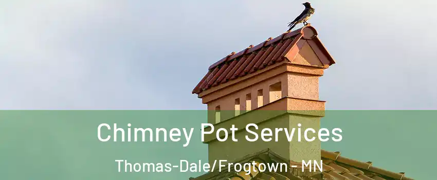 Chimney Pot Services Thomas-Dale/Frogtown - MN