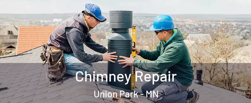 Chimney Repair Union Park - MN