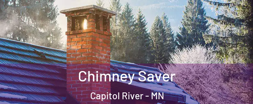 Chimney Saver Capitol River - MN