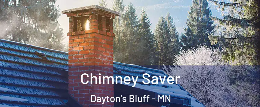Chimney Saver Dayton's Bluff - MN