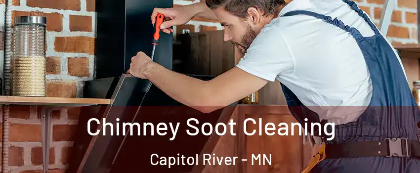 Chimney Soot Cleaning Capitol River - MN