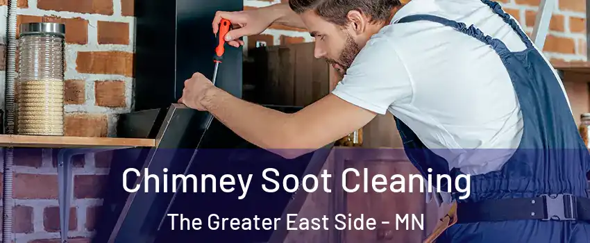 Chimney Soot Cleaning The Greater East Side - MN