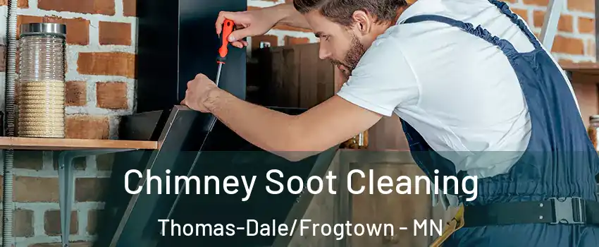 Chimney Soot Cleaning Thomas-Dale/Frogtown - MN