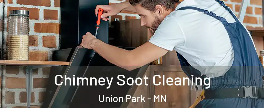Chimney Soot Cleaning Union Park - MN