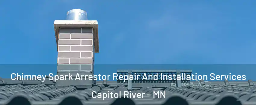 Chimney Spark Arrestor Repair And Installation Services Capitol River - MN