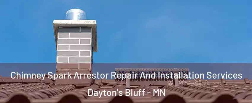 Chimney Spark Arrestor Repair And Installation Services Dayton's Bluff - MN