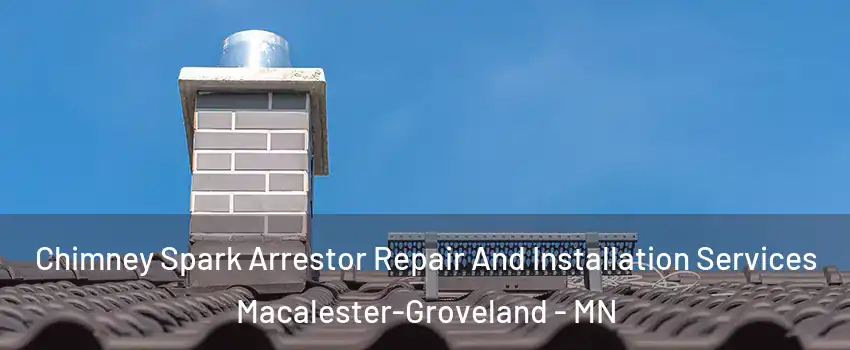 Chimney Spark Arrestor Repair And Installation Services Macalester-Groveland - MN