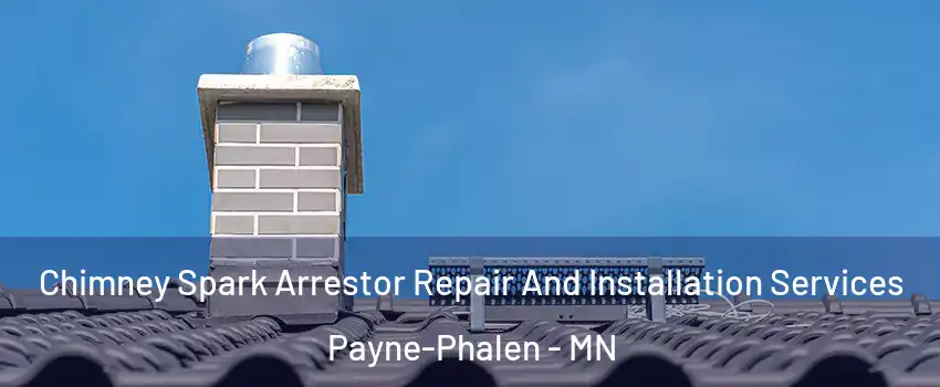 Chimney Spark Arrestor Repair And Installation Services Payne-Phalen - MN