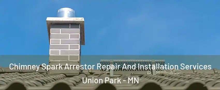 Chimney Spark Arrestor Repair And Installation Services Union Park - MN