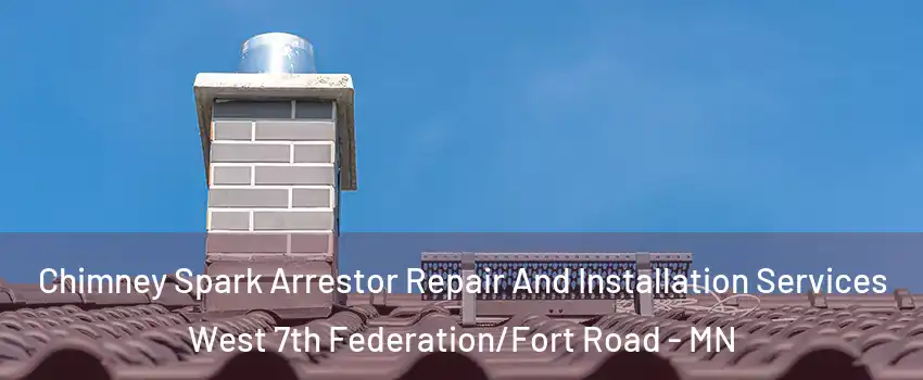 Chimney Spark Arrestor Repair And Installation Services West 7th Federation/Fort Road - MN