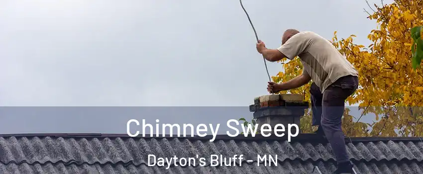 Chimney Sweep Dayton's Bluff - MN