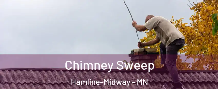 Chimney Sweep Hamline-Midway - MN