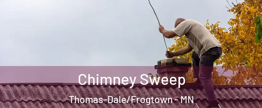 Chimney Sweep Thomas-Dale/Frogtown - MN