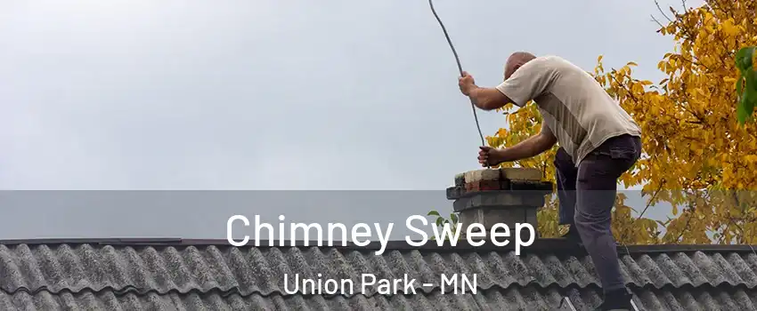 Chimney Sweep Union Park - MN