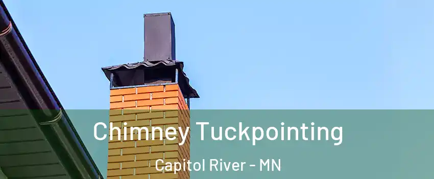 Chimney Tuckpointing Capitol River - MN