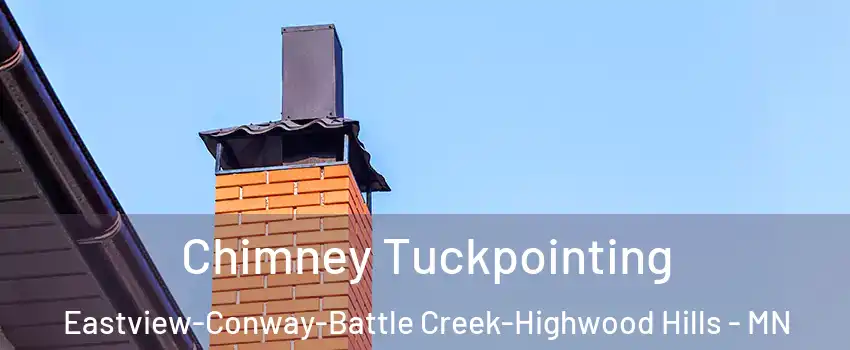 Chimney Tuckpointing Eastview-Conway-Battle Creek-Highwood Hills - MN