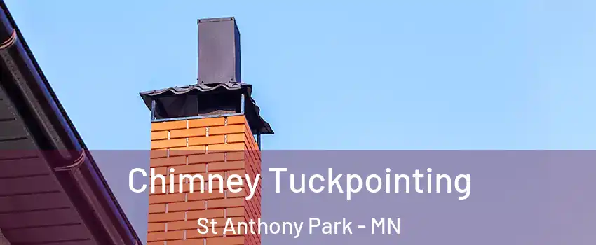 Chimney Tuckpointing St Anthony Park - MN