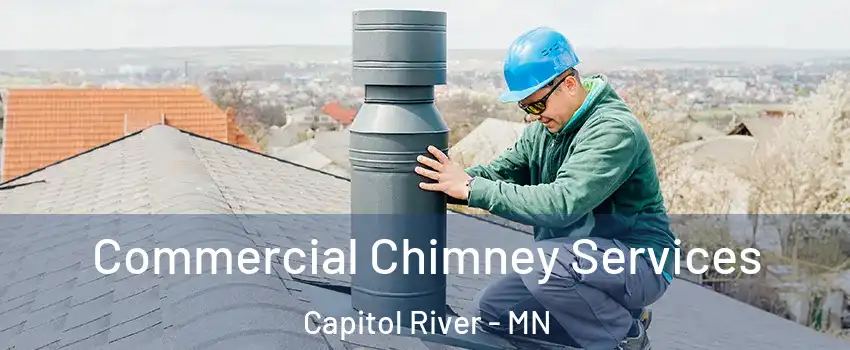 Commercial Chimney Services Capitol River - MN