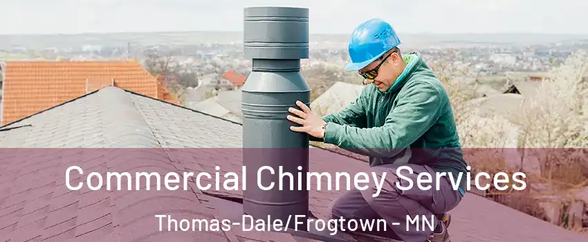 Commercial Chimney Services Thomas-Dale/Frogtown - MN
