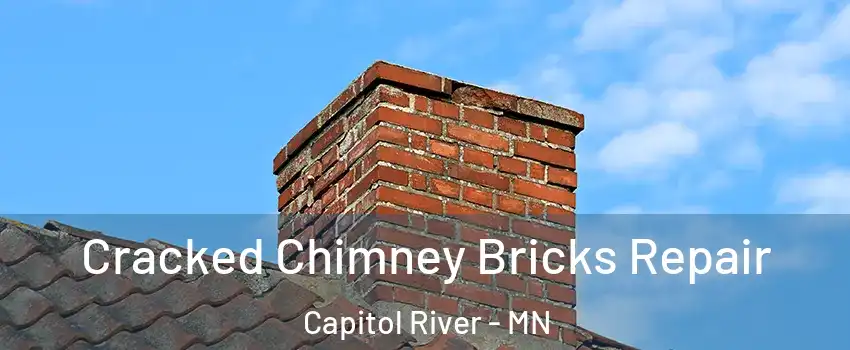 Cracked Chimney Bricks Repair Capitol River - MN