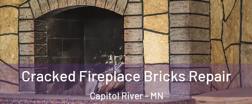 Cracked Fireplace Bricks Repair Capitol River - MN