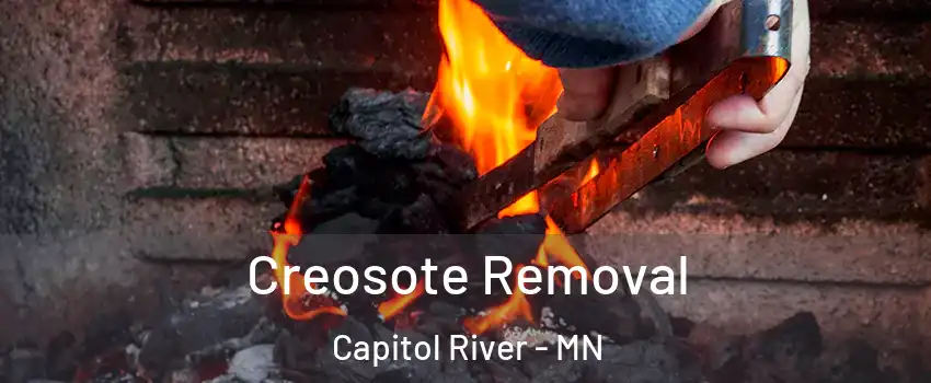 Creosote Removal Capitol River - MN
