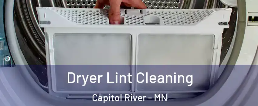 Dryer Lint Cleaning Capitol River - MN