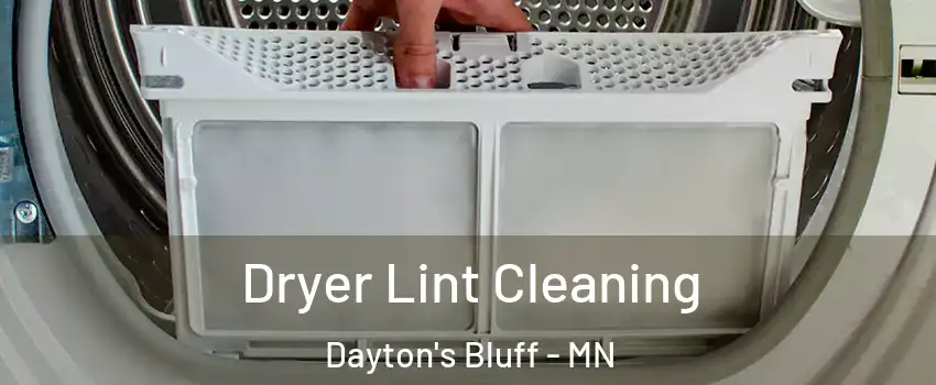 Dryer Lint Cleaning Dayton's Bluff - MN
