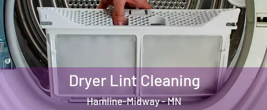 Dryer Lint Cleaning Hamline-Midway - MN