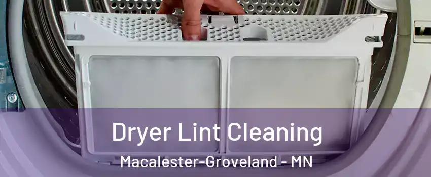 Dryer Lint Cleaning Macalester-Groveland - MN