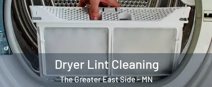 Dryer Lint Cleaning The Greater East Side - MN