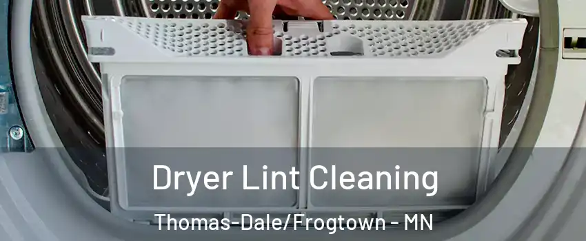 Dryer Lint Cleaning Thomas-Dale/Frogtown - MN
