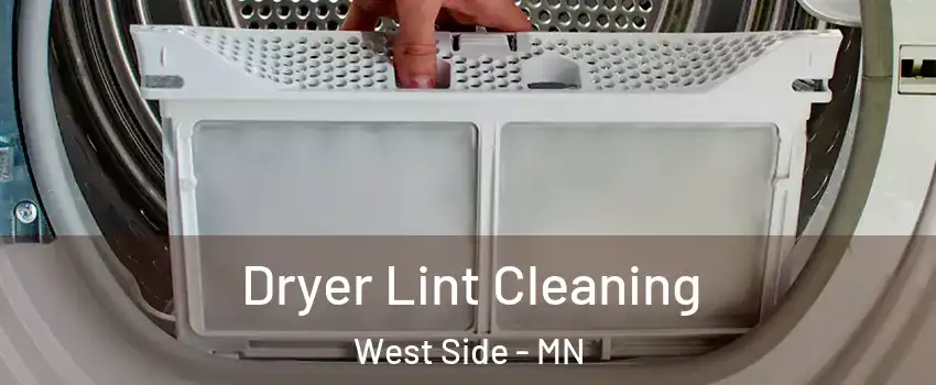 Dryer Lint Cleaning West Side - MN