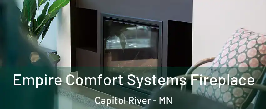 Empire Comfort Systems Fireplace Capitol River - MN