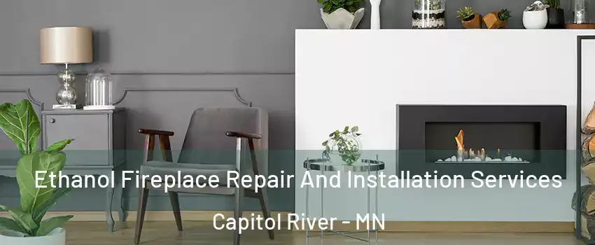 Ethanol Fireplace Repair And Installation Services Capitol River - MN