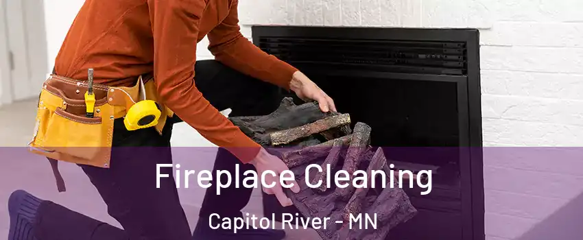 Fireplace Cleaning Capitol River - MN
