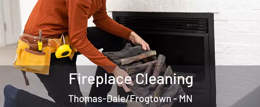 Fireplace Cleaning Thomas-Dale/Frogtown - MN