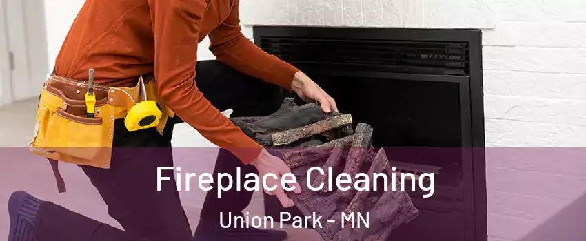 Fireplace Cleaning Union Park - MN