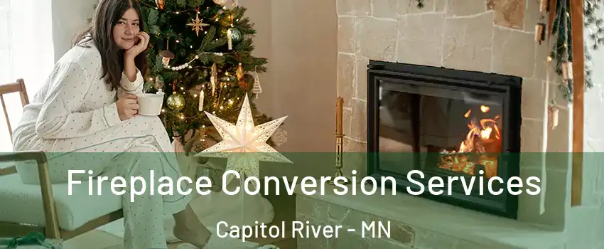 Fireplace Conversion Services Capitol River - MN