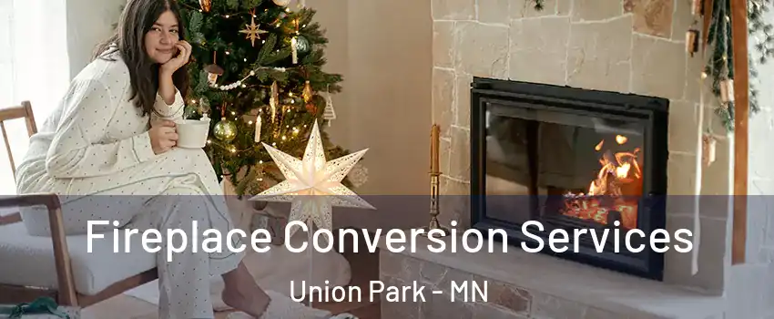 Fireplace Conversion Services Union Park - MN