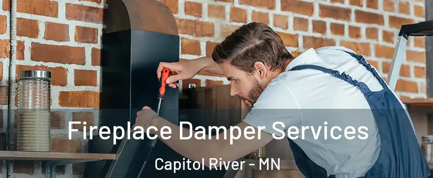 Fireplace Damper Services Capitol River - MN