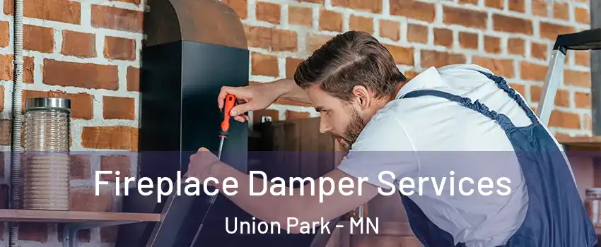 Fireplace Damper Services Union Park - MN
