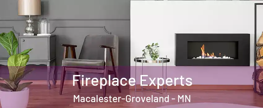 Fireplace Experts Macalester-Groveland - MN