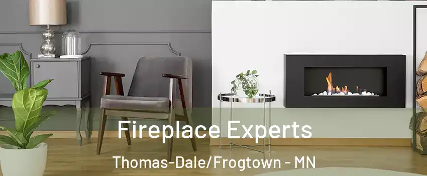 Fireplace Experts Thomas-Dale/Frogtown - MN