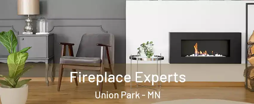 Fireplace Experts Union Park - MN
