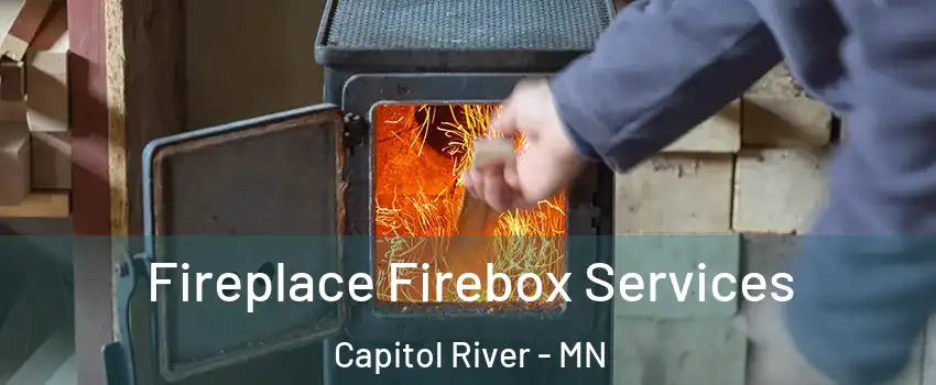 Fireplace Firebox Services Capitol River - MN