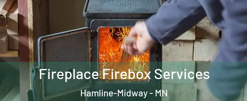 Fireplace Firebox Services Hamline-Midway - MN