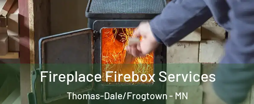 Fireplace Firebox Services Thomas-Dale/Frogtown - MN