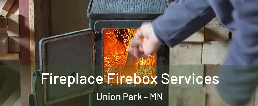 Fireplace Firebox Services Union Park - MN